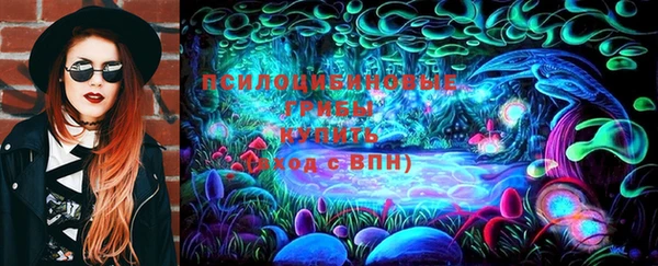 трава Беломорск