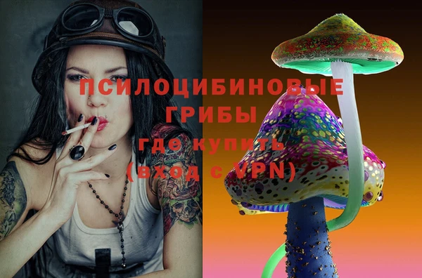 трава Беломорск