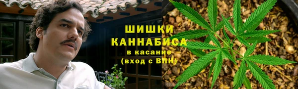 метадон Белокуриха