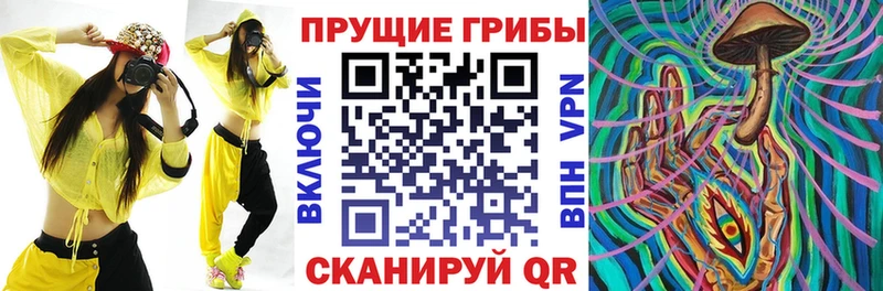 цена   Бузулук  даркнет какой сайт  Галлюциногенные грибы Psilocybe 