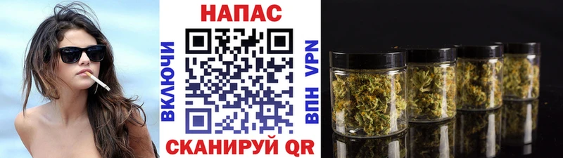 МЕГА ссылки  Бузулук  Бошки Шишки OG Kush 
